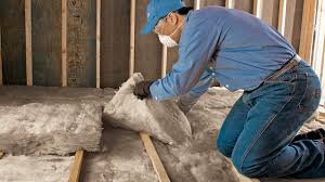 Best Garage Insulation  in Converse, TX