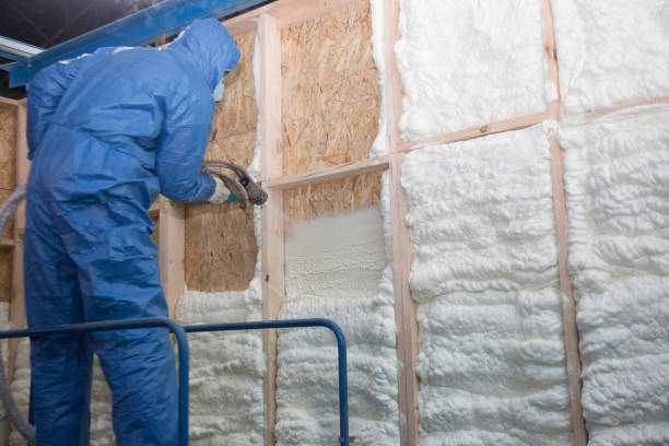 Best Commercial Insulation Services  in Converse, TX